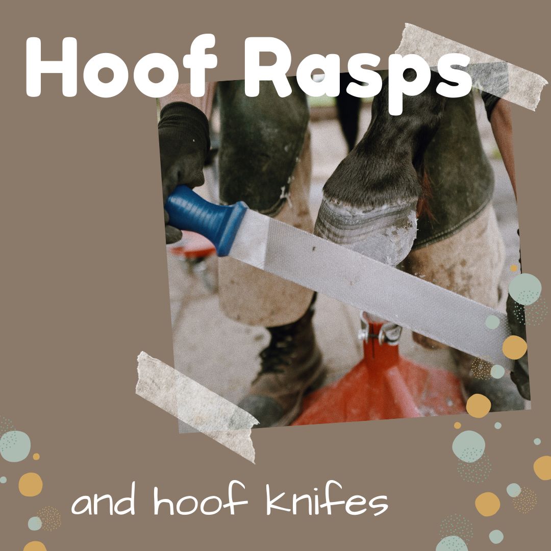 Category picture for Hoof Rasps