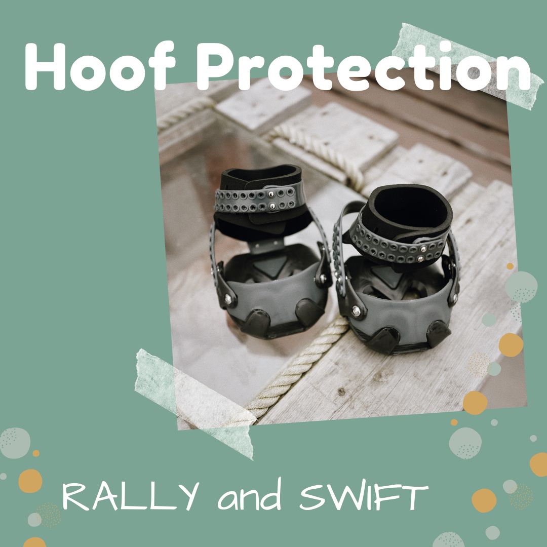 Category Hoof Protection Rally and Swift